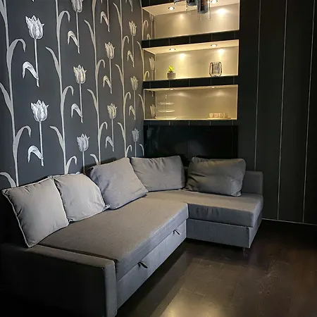 Unique And Spacious In Downtown Apartment *