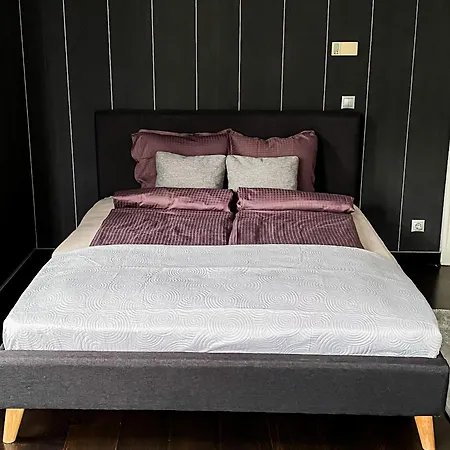 Apartment Unique And Spacious In Downtown Budapest